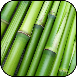 Icon image Bamboo wallpapers