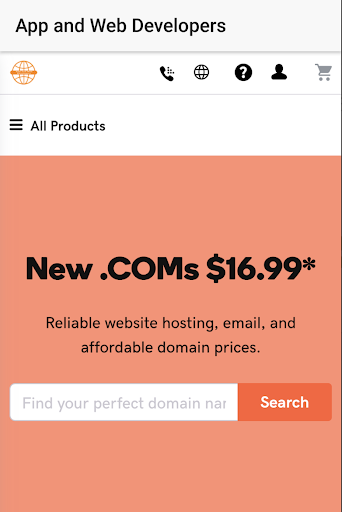 Web Design, Domain Registratio Screen 2