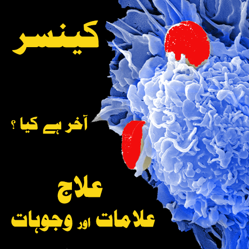 Cancer Book in Urdu Screen 2