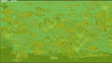 Aquarium Fishのおすすめ画像3