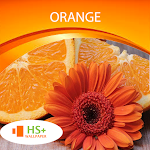 Cover Image of Unduh Orange Wallpaper 1.0.0 APK