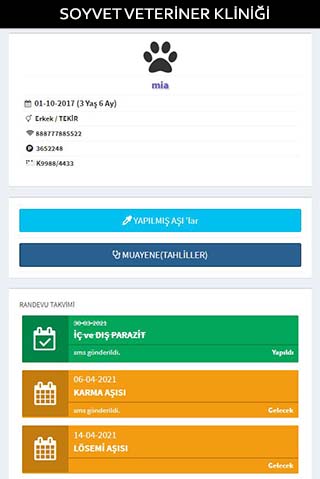 Soyvet Veteriner Kliniği Screen 3