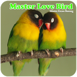 Kicau Master Lovebird icon
