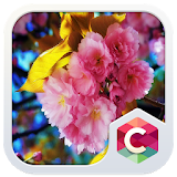 Summer Love Flowers CLauncher icon