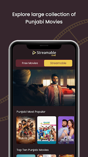Punjabi Movies Screen 3