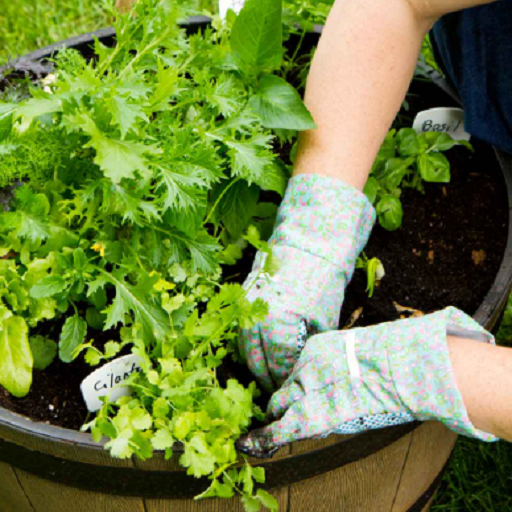 Gardening Tips for Your Home Auf Windows herunterladen