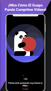 Panda Compresor de video en mb