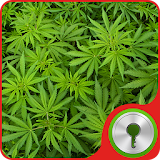 Marijuana Theme for GO Locker icon