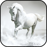 White Horse Wallpapers icon