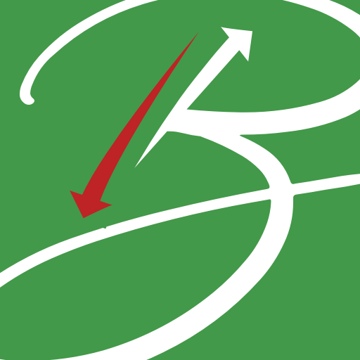 Ben S. Digital Change logo