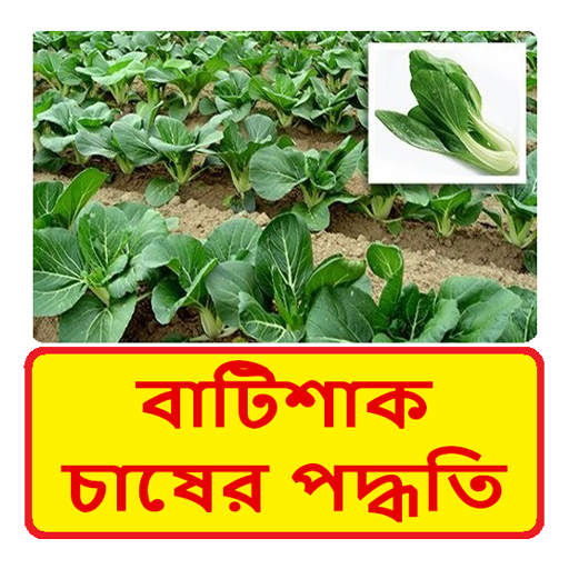 বাটিশাকের চাষের পদ্ধতি logo