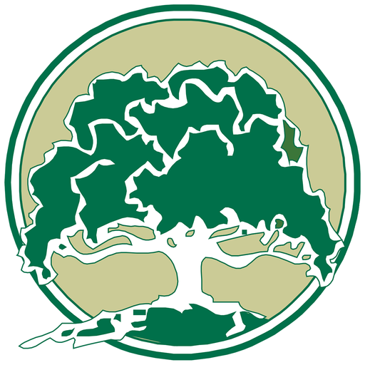 First National Bank Eldorado logo