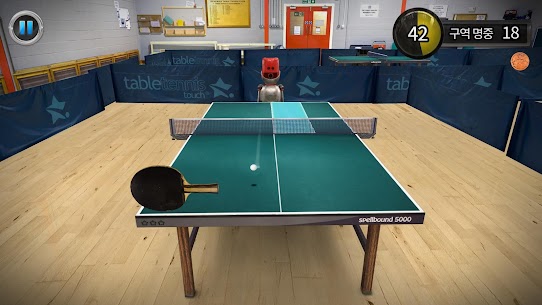 Table Tennis Touch 3.4.9.109 버그판 +데이터 5