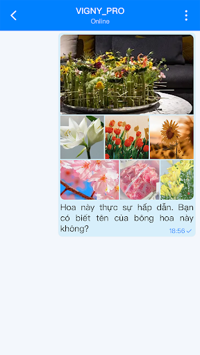 FFSAY Screenshot 4 - AppWisp.com