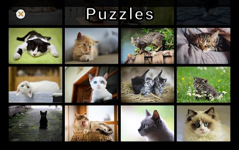 Adorable Cat Puzzles