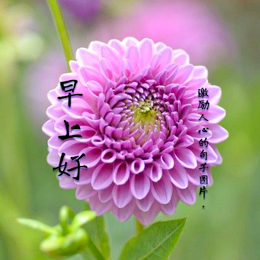 早上好－激励人心的句子图片 logo