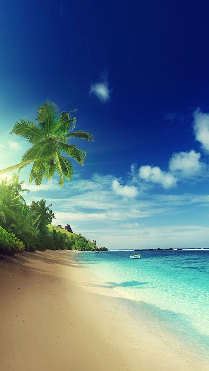 Beach Live Wallpaper - 8.1 - (Android)