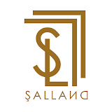 Salizm.com icon