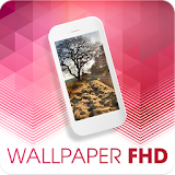 Wallpapers FHD icon