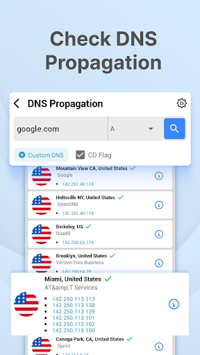 DNS Checker - Network Tools Screen 2