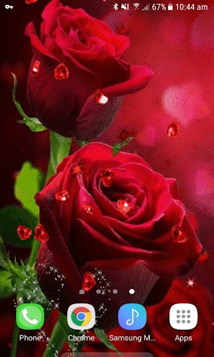 Red Hearts Roses LWP