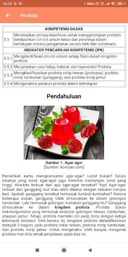 Protista - Materi dan Latihan