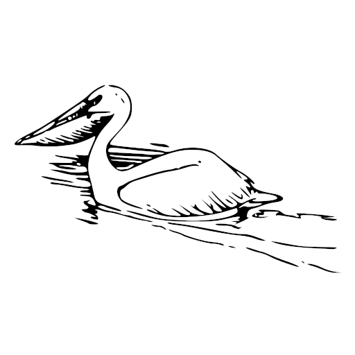Pelican Point Birdlife logo