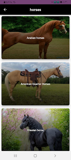 Android application horses screenshort