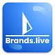 Brands.live - Pic Editing tool