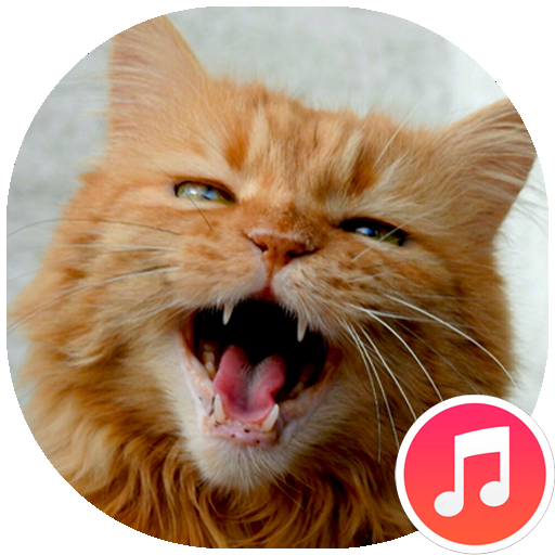 Cat Sounds Download on Windows