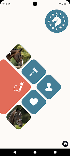 European Sport Horse Auction Screen 3