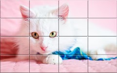 screenshot of Tile Puzzle Cats