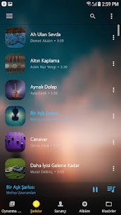 Audify Player MOD APK (Premium Unlocked) v1.152.2 9