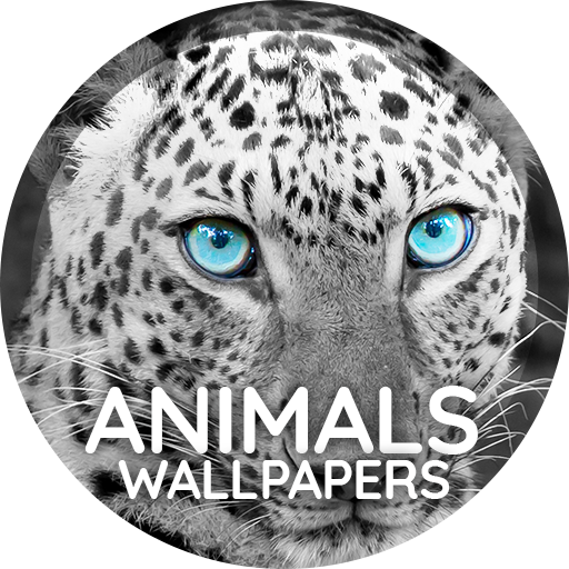 Wallpapers 4K with animals logo