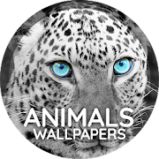Top 20 Personalization Apps Like Animals Wallpapers - Best Alternatives