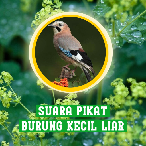 Suara Pikat Burung Kecil Liar logo
