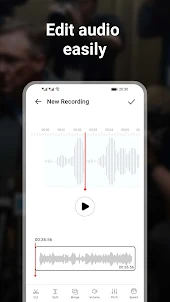Voice Recorder - Transcription