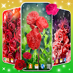 Cover Image of Herunterladen Red Rose Live Wallpaper 🌹 Elegant Rose Wallpapers 6.7.3 APK