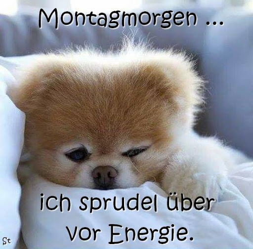 Android application Guten Morgen Bilder screenshort
