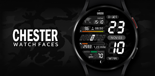 Chester LCD2 watch face