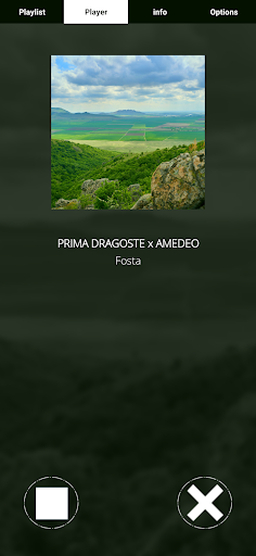 Radio Doina Screen 2