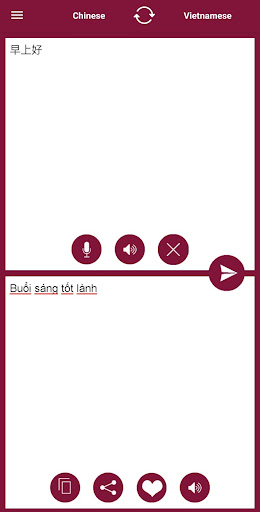 Vietnamese-Chinese Translator Screen 2