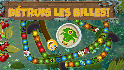 Aperçu de l'application