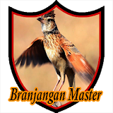Master Kicau Branjangan icon
