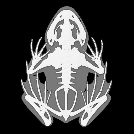 3D Frog Anatomy 2.00b Icon