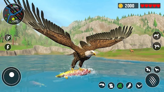 Eagle Simulator – Eagle Games 5