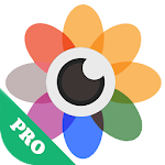 Cover Image of Download Gallery365 - Photo viewer & ed  APK