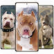 Pitbull Wallpaper 4k - Androidアプリ