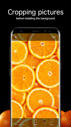 Screenshot of Orange Wallpapers 4K