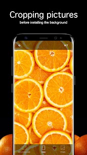 Orange Wallpapers 4K Mod Apk New 2022* 3